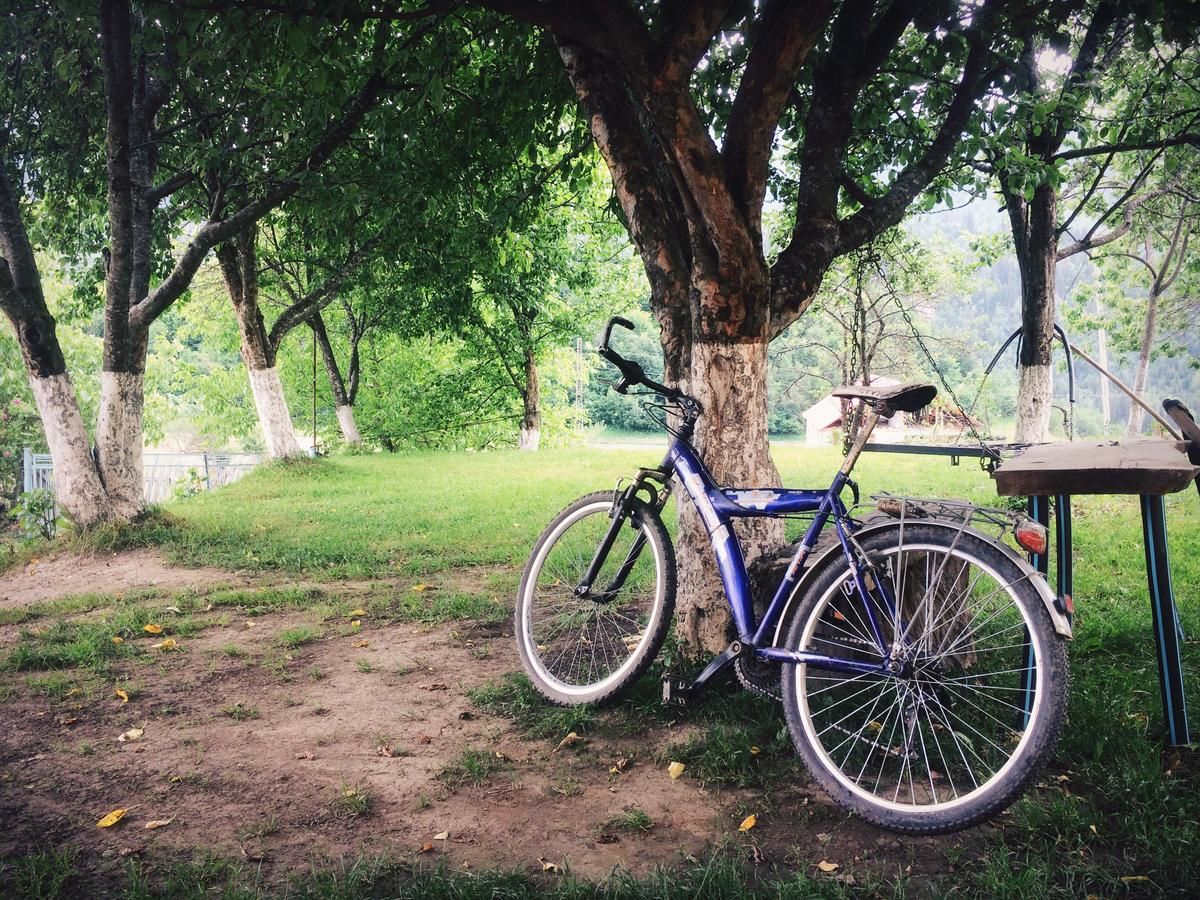 Гостевой дом Gues House Larda Местиа-20