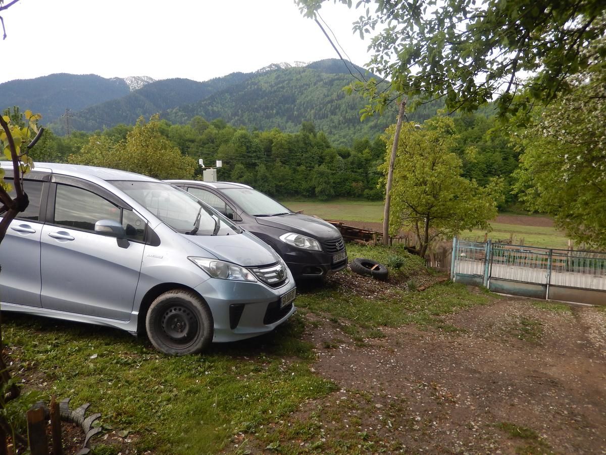 Гостевой дом Gues House Larda Местиа-23