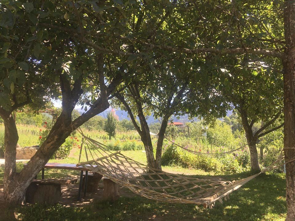 Гостевой дом Gues House Larda Местиа-26