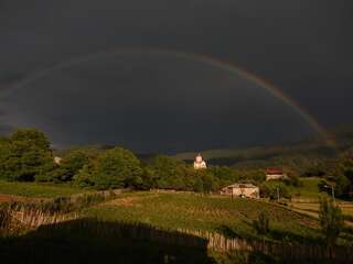 Гостевой дом Gues House Larda Местиа-1